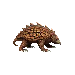 Armadillo