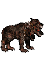 Cerberus