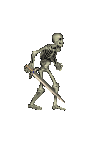 Skeleton